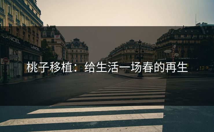 桃子移植:给生活一场春的再生 桃子移植:给生活一场春的再生