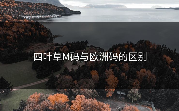四叶草M码与欧洲码的区别