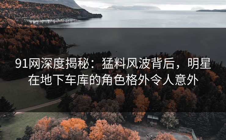91网深度揭秘：猛料风波背后，明星在地下车库的角色格外令人意外
